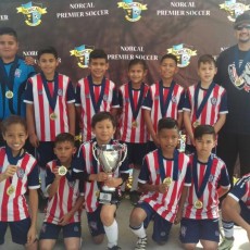 2017 State Premier Division – State Cup Champions