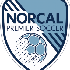 “Are you ready to be a soccer parent?” video series “Are you ready to be a soccer parent?” video series